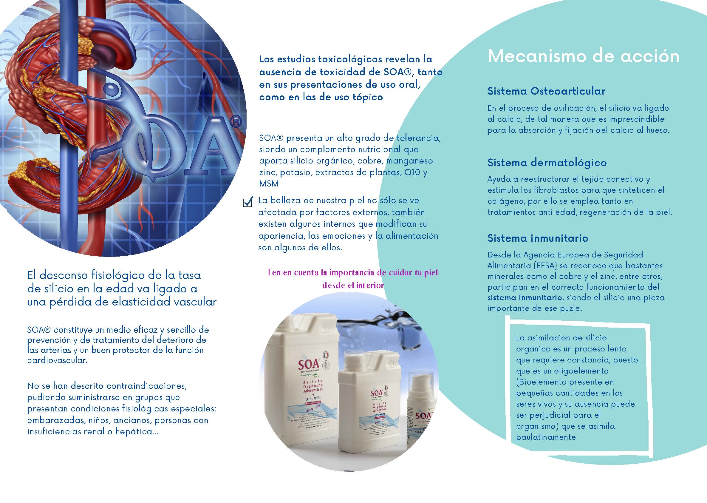 Triptico_SOA_Q_25_A_2